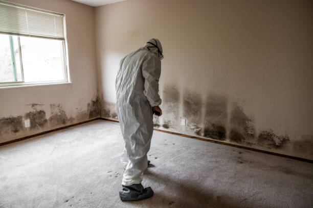 Mold Remediation for Rental Properties in Brookhaven, MS